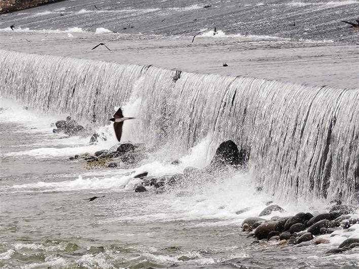 漢中世界灌溉工程遺產探秘：三堰水潤魚米鄉