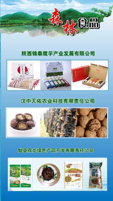 漢中展團與您相約第三屆中國森林食品交易博覽會