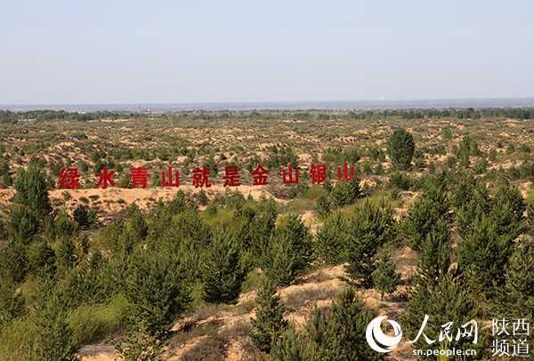 陜西：“綠進沙退” 毛烏素千年沙海變綠洲