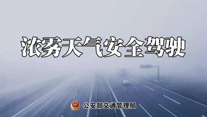 多地有大霧，安全駕駛提示速收好！ | 預警