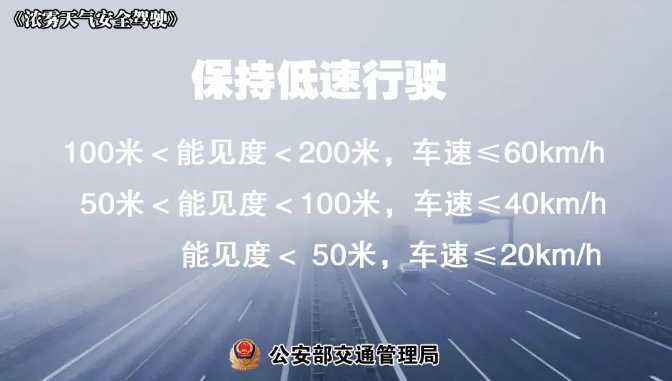 多地有大霧，安全駕駛提示速收好！ | 預警