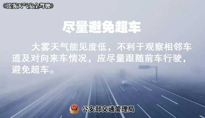 多地有大霧，安全駕駛提示速收好！ | 預警