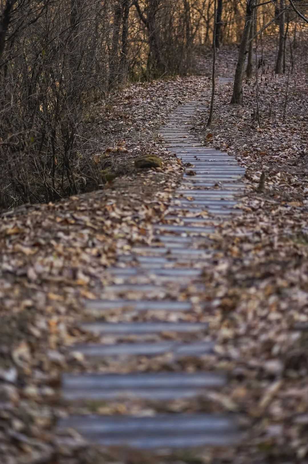 在漢中，這定是您向往的冬日生活！