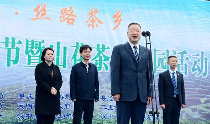 漢中城固縣17萬畝茶園今日開園采摘