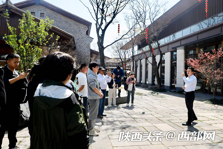 生態高顏值·發展高質量｜油菜花、牡丹花、黑稻田 漢中洋縣有機產業有自己的“三原色”