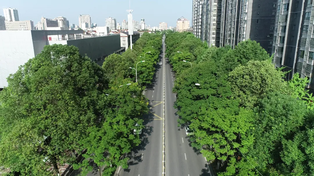 漢臺下足“繡花”功夫 推進城市精細化管理